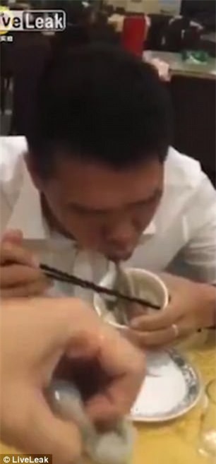 Bàn tiệc kinh dị ở Trung Quốc: cá còn thở, bạch tuộc quằn quại, lươn lúc nhúc cọ quậy trong bát - Ảnh 4.