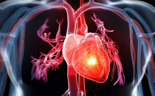 Chuyên gia chỉ rõ 4 chế độ ăn uống nên áp dụng ngay để phòng bệnh 