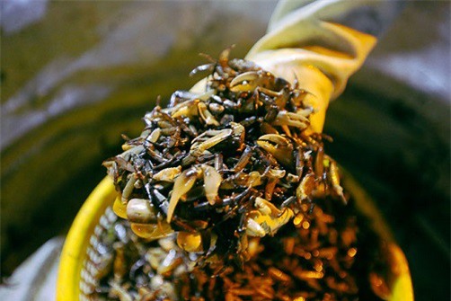 cua đồng,chợ độc lạ