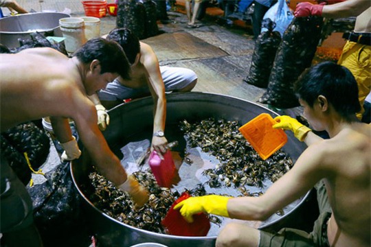 cua đồng,chợ độc lạ