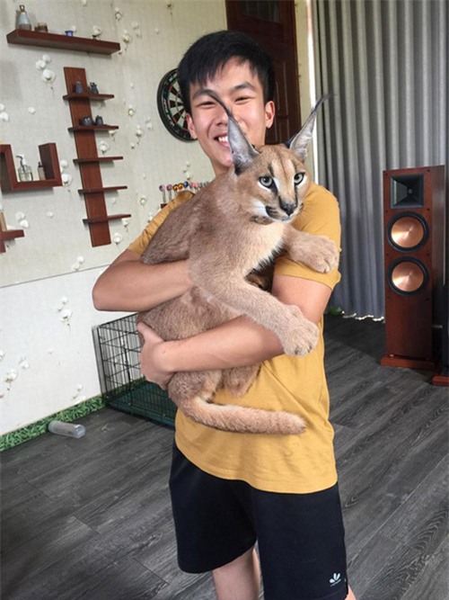 thú cưng,chó cảnh