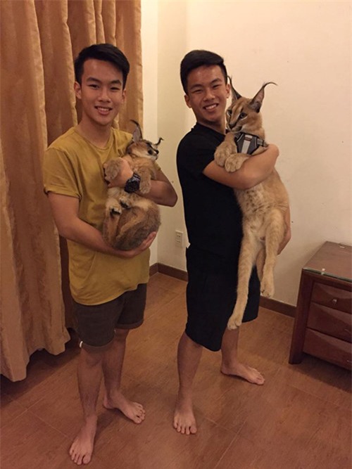 thú cưng,chó cảnh