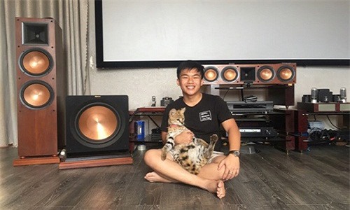 thú cưng,chó cảnh