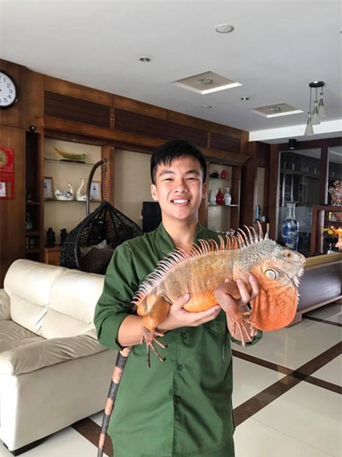 thú cưng,chó cảnh