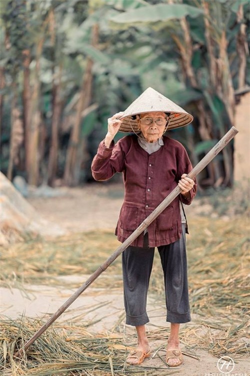 Bộ ảnh cúc họa mi ‘phiên bản’ bà ngoại khiến người ta phải mỉm cười ngay lập tức! - Ảnh 5.