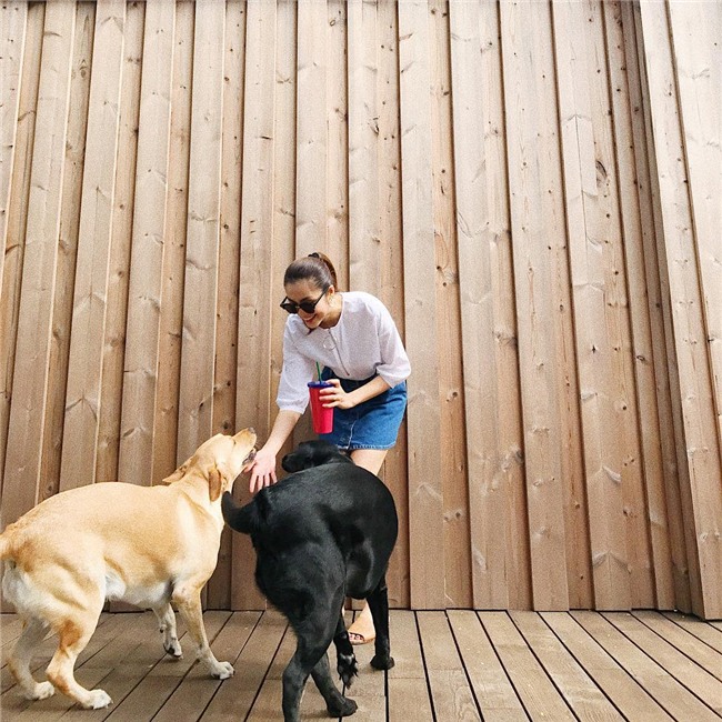 Tăng Thanh Hà tự nhận mình đã già và muốn sống cho bản thân nhiều hơn-3