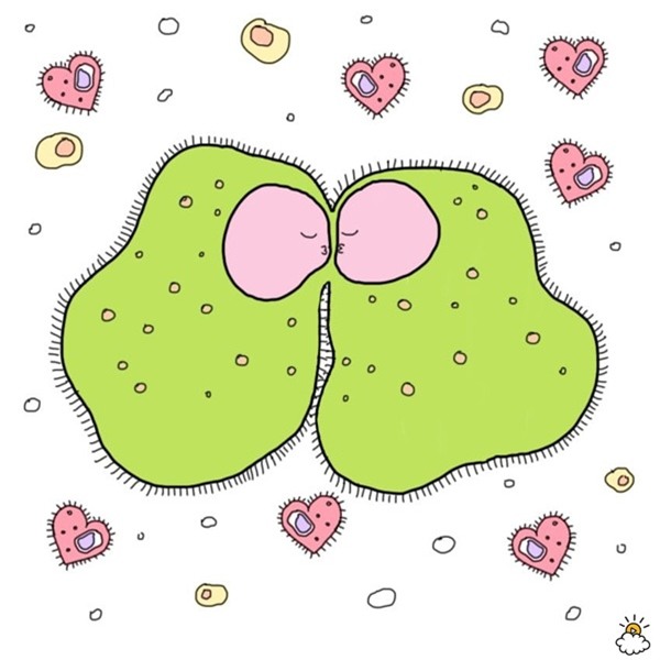 hon nhau moi ngay nhung cac cap doi da biet nhung loi ich tuyet voi nay? - 1