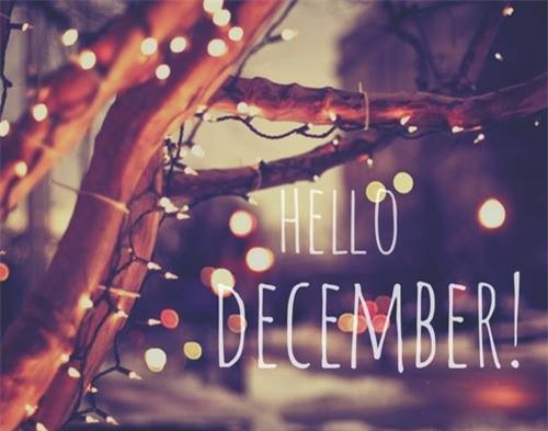 Dự đoán tháng cuối cùng của năm với hàng loạt bất ngờ cho 12 con giáp-4