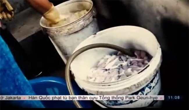 Sự thật rùng rợn đằng sau đĩa lòng lợn trắng phau, siêu rẻ ở Hà Nội - Ảnh 1.