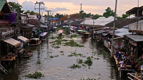Thái Lan: Cơn ác mộng 31,801 con trăn, rắn chui lên từ bồn cầu ám ảnh người dân - Ảnh 6.