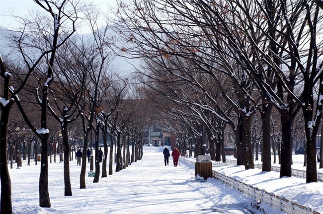 Ngất ngây với những hình ảnh tuyết rơi đẹp lung linh trên khắp thế giới - Ảnh 1.