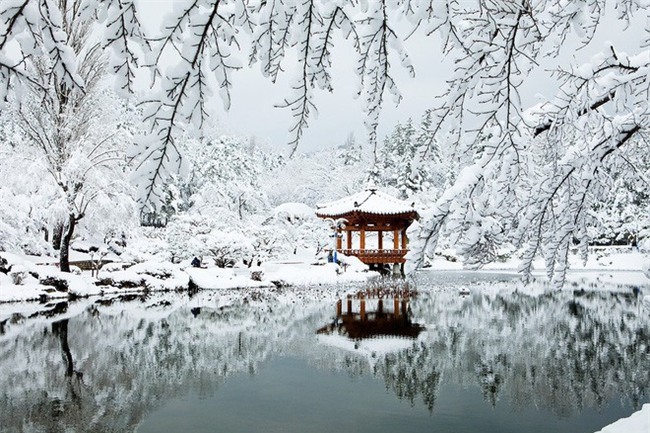 Ngất ngây với những hình ảnh tuyết rơi đẹp lung linh trên khắp thế giới - Ảnh 3.