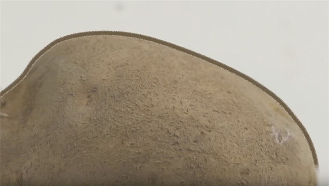 Mua khoai tây cứ nhẩm trong đầu 4 “thần chú” sau thì chắc chắn 10 củ ngon như một - Ảnh 2.