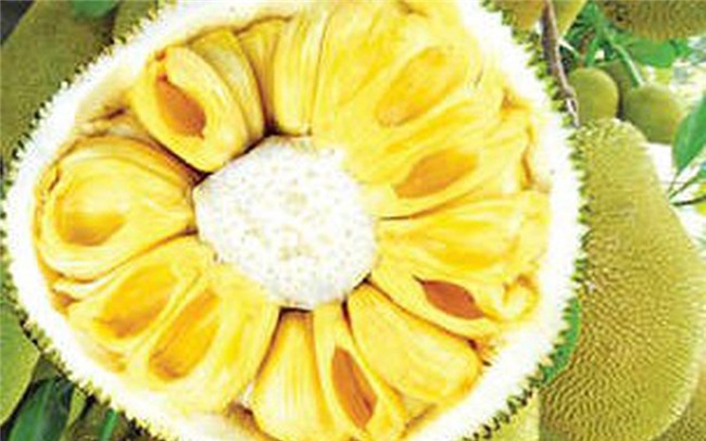 nông sản xuất khẩu,nông sản Việt,mít