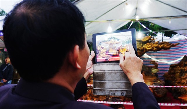 gỗ quý,bàn ghế đại gia,bàn ghế quý