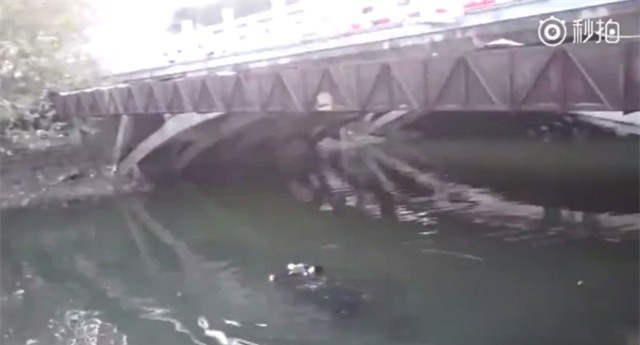 Bi hài người phụ nữ nhảy xuống sông tự tử nhưng không thành vì lý do bất ngờ - Ảnh 1.