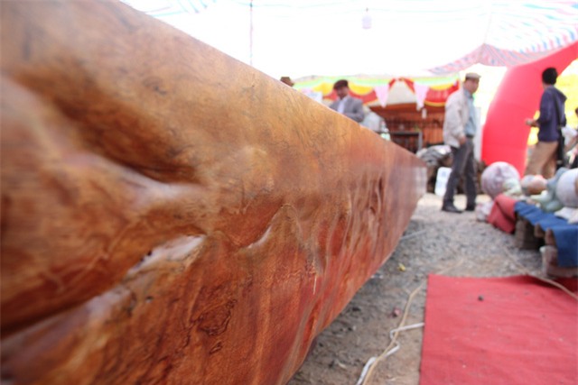 sập gỗ,gỗ quý,giường đại gia