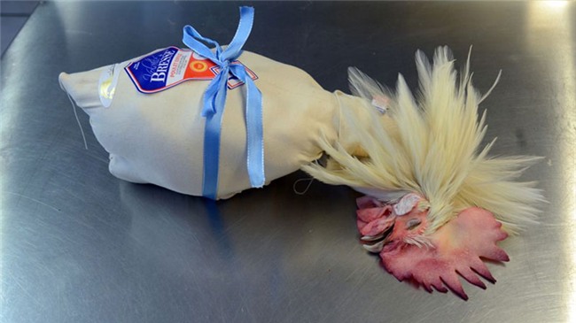 Thịt gà sang chảnh giá 1 triệu đồng/kg có gì đặc biệt?