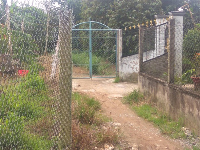 Mẹ cháu bé bị bà ngoại siết cổ chết: Tôi không dám hỏi nguyên nhân - Ảnh 1.