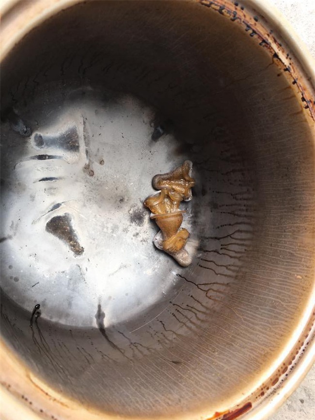 Cười rụng rốn với những pha mất não của hội mẹ bỉm sau sinh: Cá kho hóa cá thui rơm, tương ớt thành tương than - Ảnh 23.