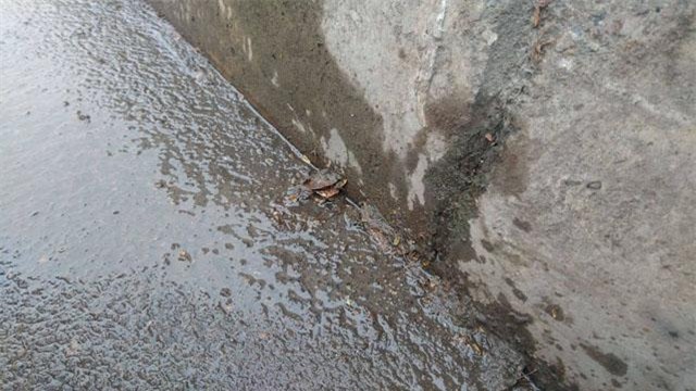 ha noi: hang loat xe may nam la liet trong ham kim lien vi ly do bat ngo - 2