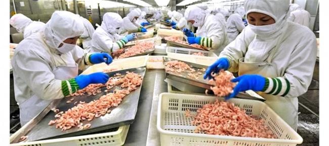 10 mon co the gay nguy hiem neu ban an khong dung cach - 2