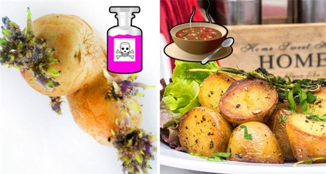 10 mon co the gay nguy hiem neu ban an khong dung cach - 3