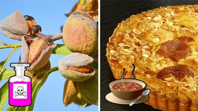 10 mon co the gay nguy hiem neu ban an khong dung cach - 4