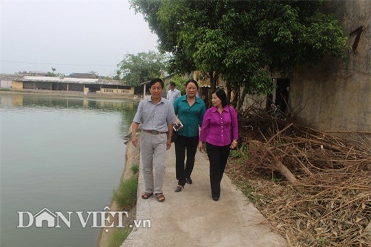 lam giau nong thon: nuoi 2 van ga de sieu khoe, lai