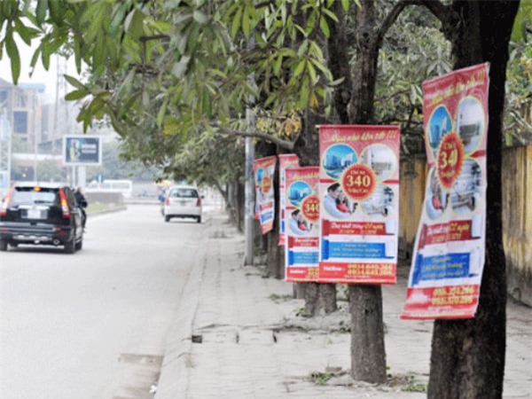 dự án,ciputra,dự án times city,royal city,chủ đầu tư,Sunshine City,dự án bất động sản