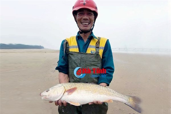 cá sủ vàng,cá quý hiếm,cá lạ