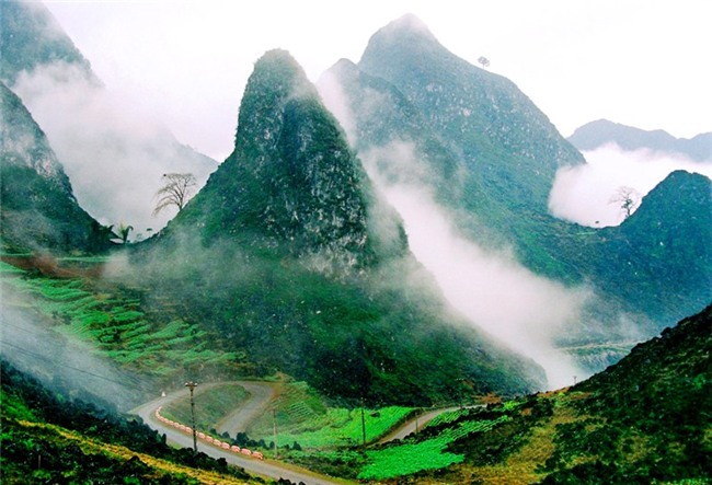 dược liệu,nông dân làm giàu,khởi nghiệp,tỷ phú nông dân