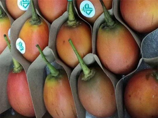 hoa quả nhập khẩu,giới nhà giàu việt,hoa quả độc lạ,hoa quả nhật bản