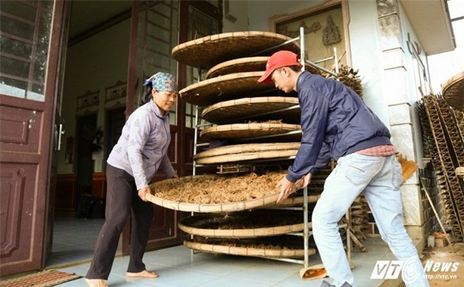 tỷ phú nông dân,nông dân làm giàu,dược liệu