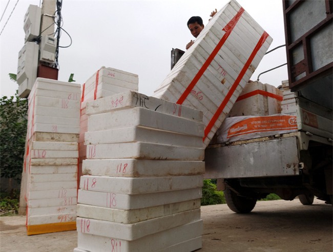 Nhà giàu bỏ cả chục triệu đồng, trữ rồng đất đông lạnh ăn Tết