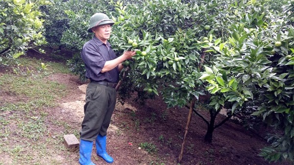 lao nong co biet tai bat cam ra qua sai theo y muon hinh anh 2