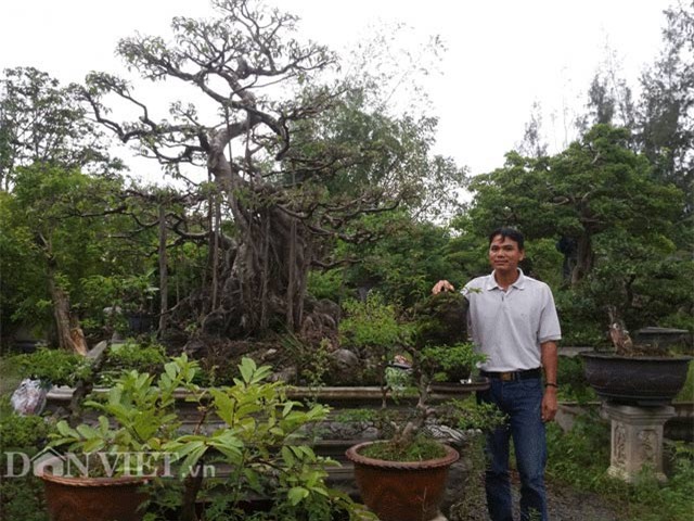 bo nghe giao vien ve trong cay canh, bo tui 200 trieu dong/nam hinh anh 2