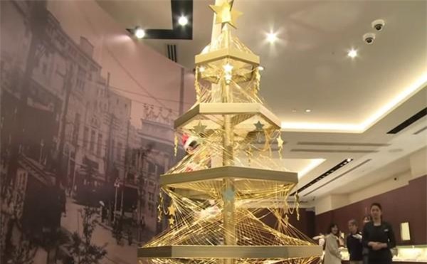 loa mat voi loat cay thong bang vang rong "sang chanh", dat gia nhat the gioi - 7