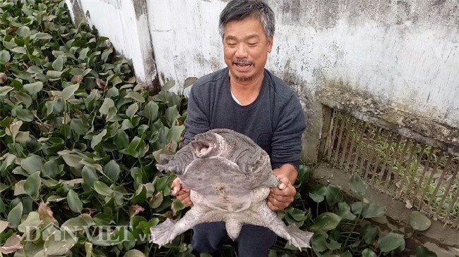 la ma hay: lao nong nuoi dan ba ba gai