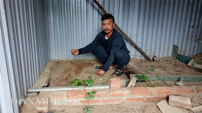 la ma hay: lao nong nuoi dan ba ba gai