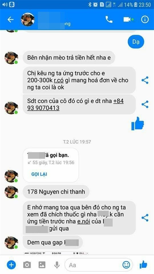 Đưa mèo đi chữa bệnh giúp khách, shipper bị chủ mang hung khí chém vỡ mũ bảo hộ - Ảnh 2.