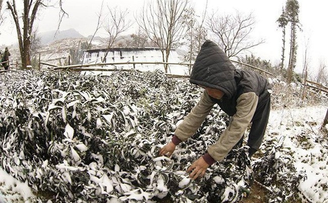 Đợt không khí lạnh có cường độ rất mạnh sẽ tạo ra một trạng thái thời tiết khá đặc biệt - Ảnh 1.