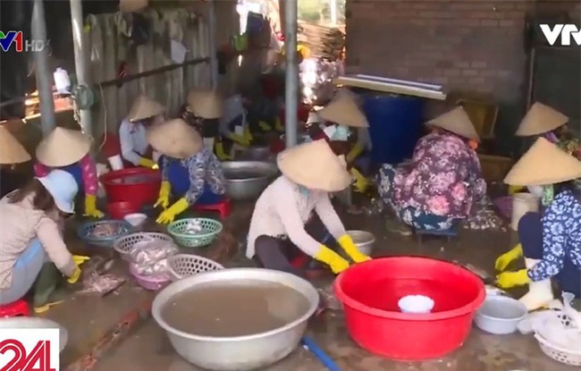 Cận cảnh quy trình tẩm ướp cá khô bằng... thuốc tẩy giun - Ảnh 1.