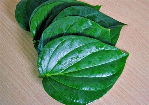 la me cua 4 nhoc ti, vo ly hai so huu khuon mat moc khien chi em phat them - 6