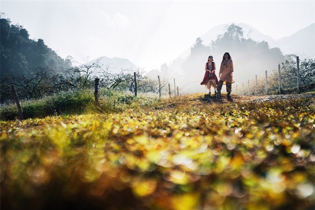 Cặp đôi Hà thành hóa trang thành dân du mục Mông Cổ, ôm rồng Nam Mỹ chụp ảnh cưới - Ảnh 14.