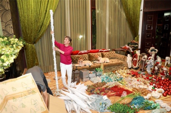 Đàm Vĩnh Hưng, biệt thự Đàm Vĩnh Hưng, Mr Đàm