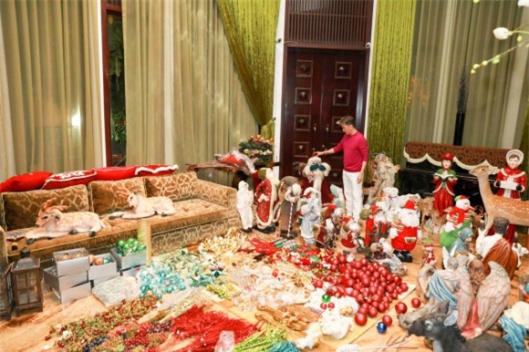 Đàm Vĩnh Hưng, biệt thự Đàm Vĩnh Hưng, Mr Đàm