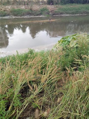 Đi ăn trộm bị truy đuổi, nam thanh niên nhảy xuống suối thoát thân, đuối nước tử vong