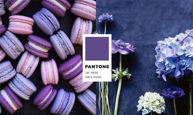 mac mau tim khong bi che gia va sen nhu ho ngoc ha, hay hoc nu than elle fanning! - 1