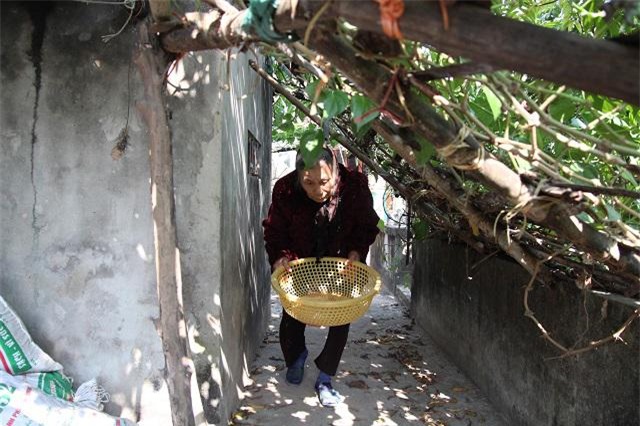 ha noi: bi chong duoi, dot quan ao phai di lang thang ca thang troi vi vo hui - 5